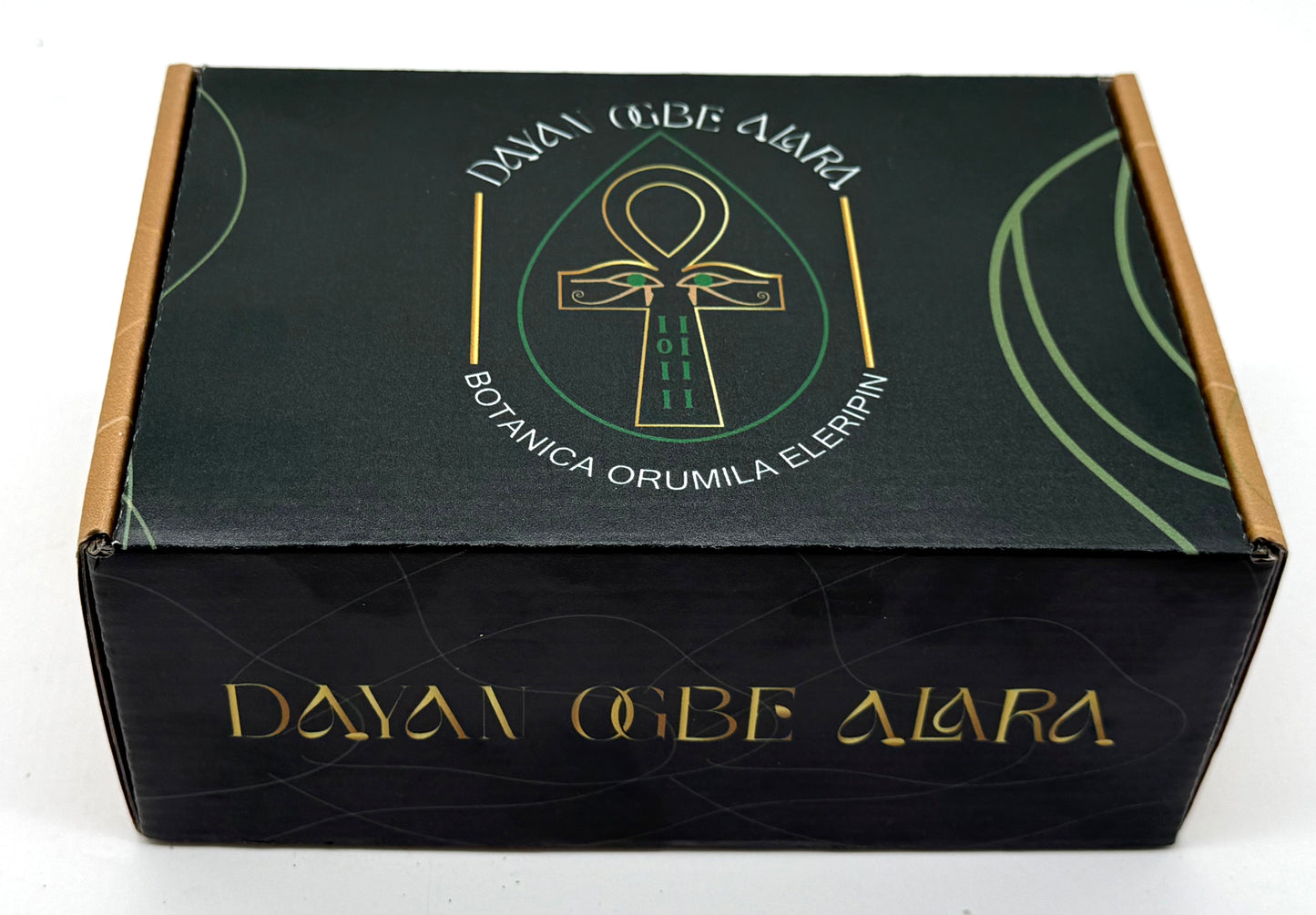 La Caja fuerte de la riqueza (todas las suertes salud, dinero, amor, riqueza, prosperidad, y abundancia)