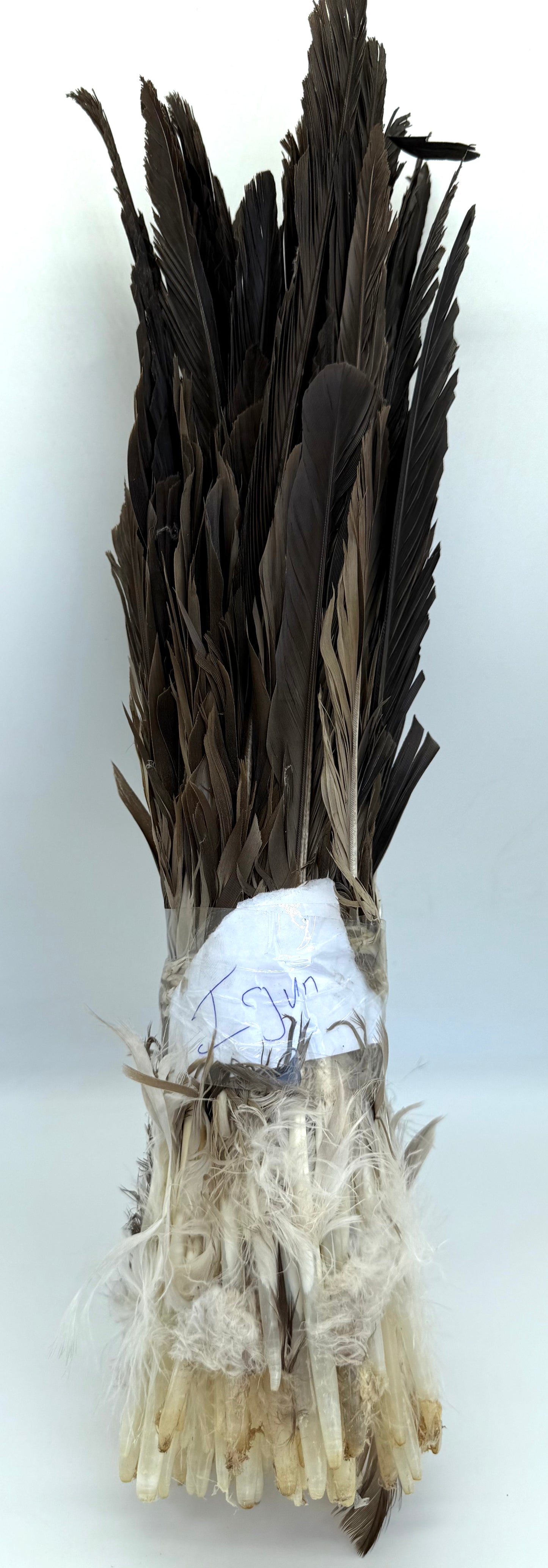 Igun( pluma de tiñosa )