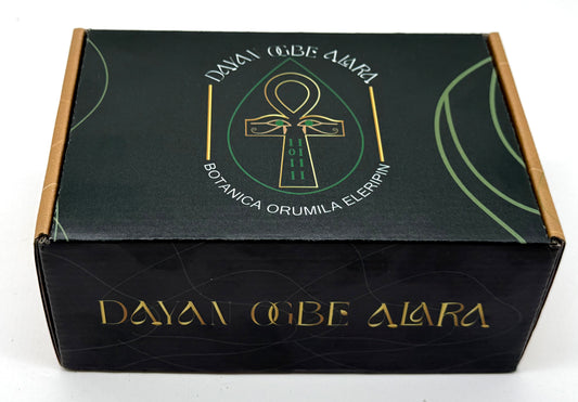 La Caja fuerte de la riqueza (todas las suertes salud, dinero, amor, riqueza, prosperidad, y abundancia)