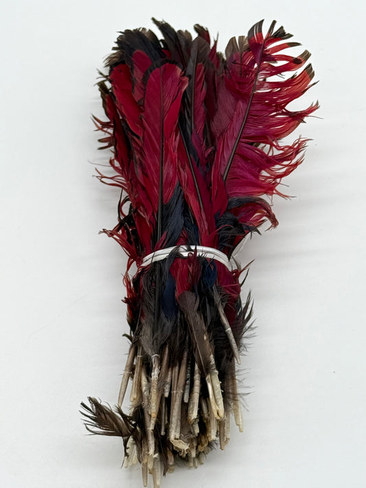 Turraco Rojo