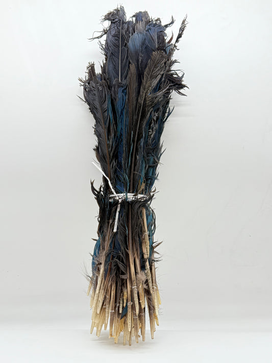Turraco Azul