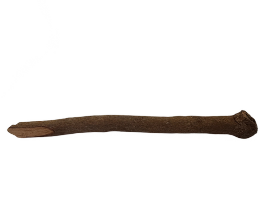 Palo Canela